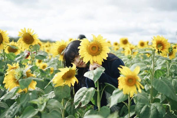 Đà Lạt đẹp bốn mùa hoa 11