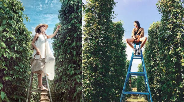 Kinh nghiệm du lịch đảo ngọc Phú Quốc 10