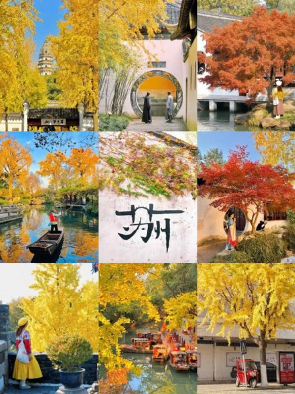 Tô Châu Trung Quốc