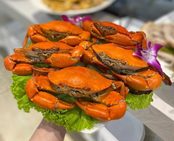 Thưởng thức hải sản Vân Đồn
