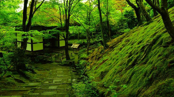 Địa điểm du lịch đẹp ở Kyoto 17 Địa điểm du lịch đẹp ở Kyoto 17