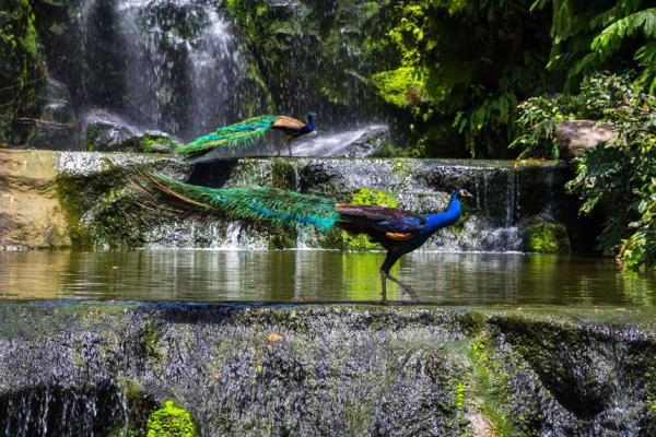 Top 10+ Địa Điểm Check-In Đẹp Ở Kuala Lumpur Cho Khách Du Lịch Malaysia 03 Top 10+ Địa Điểm Check-In Đẹp Ở Kuala Lumpur Cho Khách Du Lịch Malaysia 03