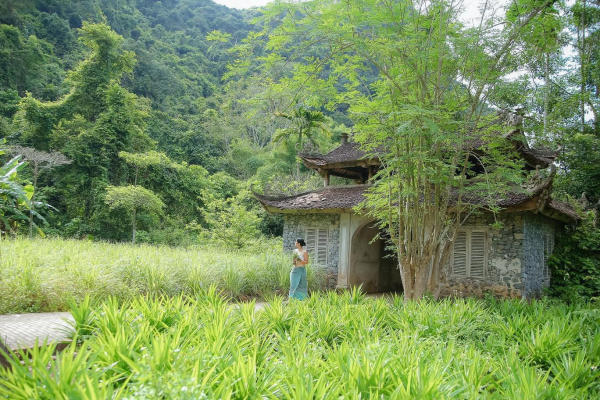 Du lịch vịnh Lan Hạ 03 Du lịch vịnh Lan Hạ 03