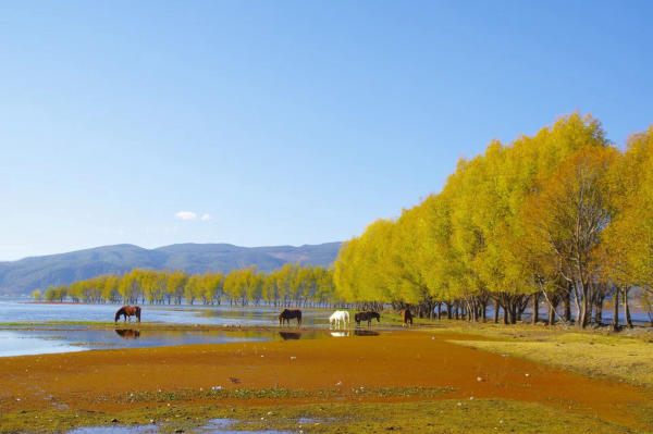 Cảnh đẹp Lệ Giang, Trung Quốc