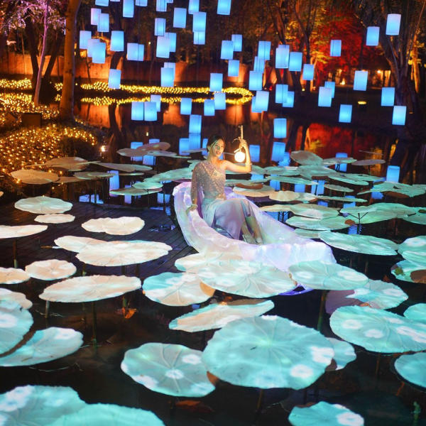 Lễ hội ánh sáng Nastta Light Festival 2024 6