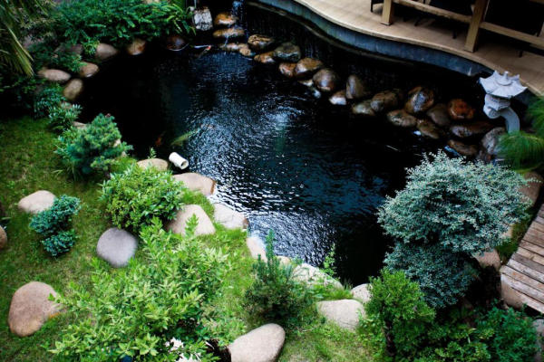Lijiang Jun bo Boutique Guesthouse - Khách sạn Lệ Giang đẹp 03 Lijiang Jun bo Boutique Guesthouse - Khách sạn Lệ Giang đẹp 03