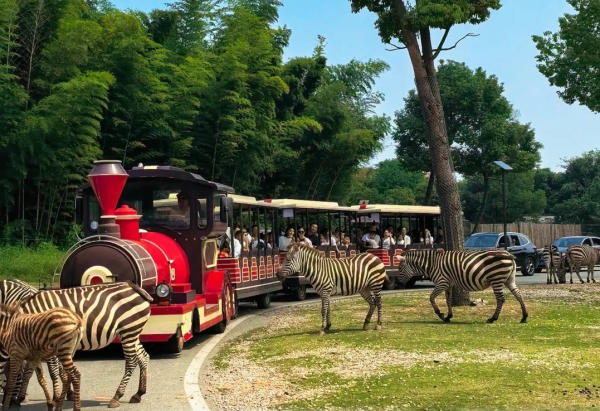 Long Chi Mộng Hồ Châu ở đâu