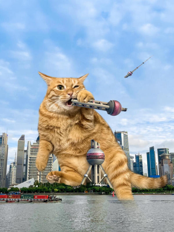 di chuyển đi Tháp Đông Phương Minh Châu