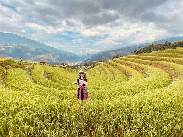Kinh nghiệm đi Mùa Cang Chải mùa lúa chín Kinh nghiệm đi Mùa Cang Chải mùa lúa chín