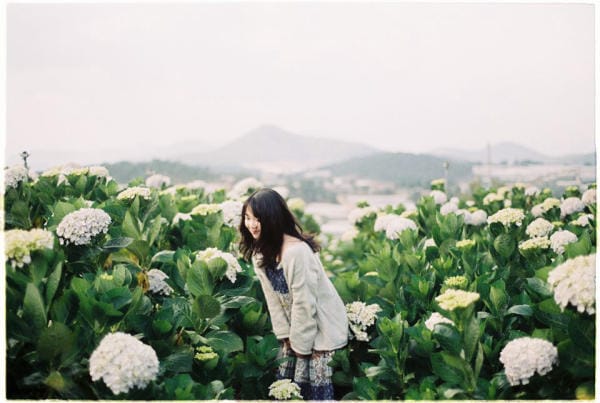 Đà Lạt đẹp bốn mùa hoa 18