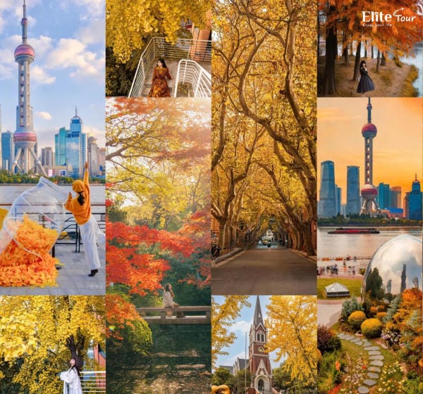Mùa thu Thượng Hải có gì