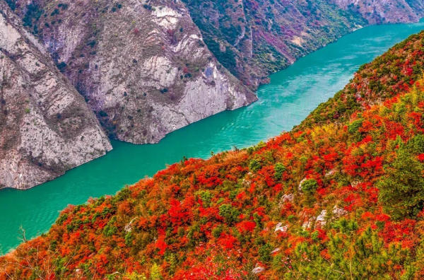 Ngắm là đỏ ở Vu Sơn Trùng Khánh
