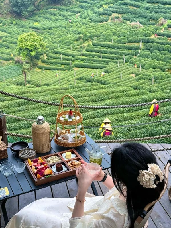 Trà Long Tỉnh