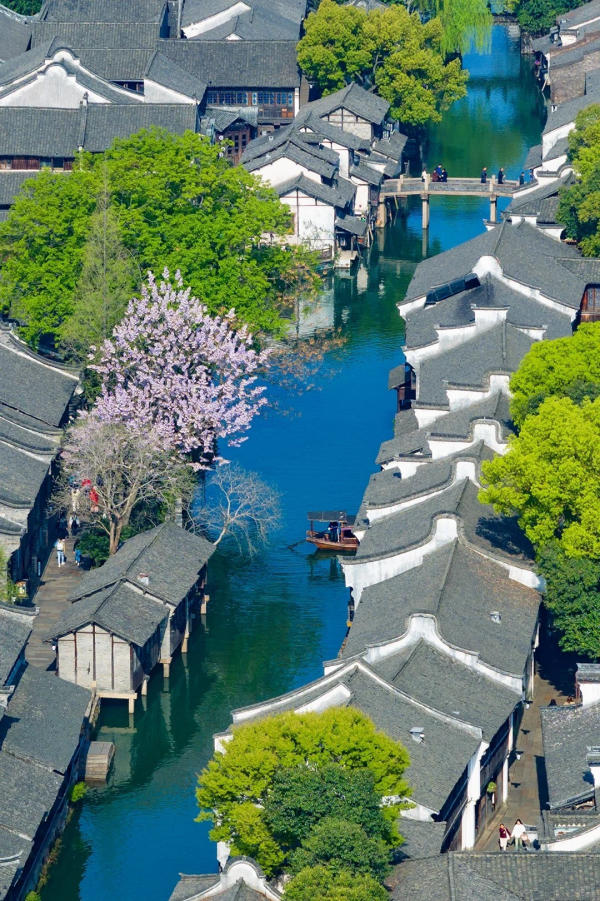 cảnh sắc mùa xuân Ô Trấn
