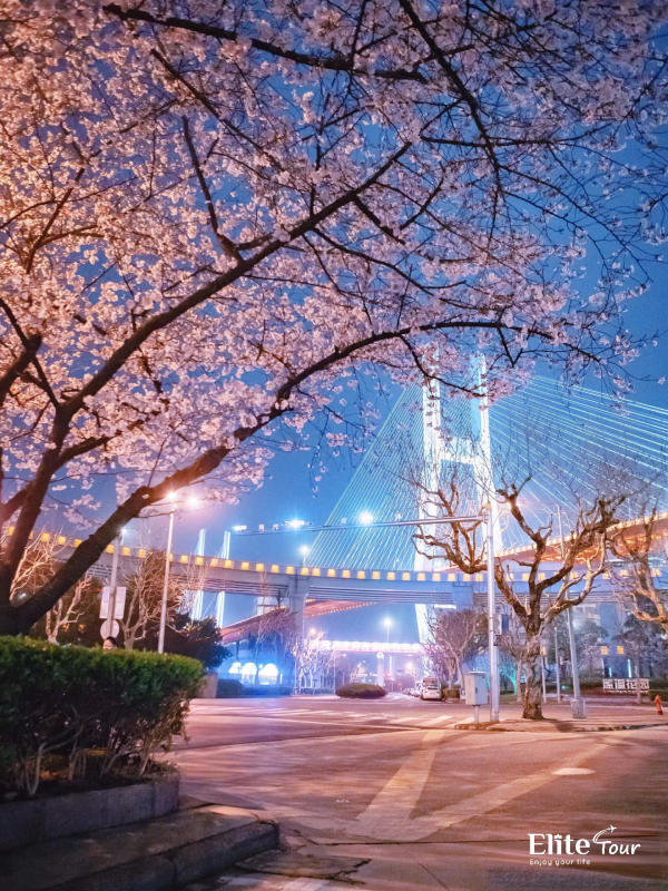 Du lịch Thượng Hải mùa xuân đi chơi ở đâu? 03 Du lịch Thượng Hải mùa xuân đi chơi ở đâu? 03