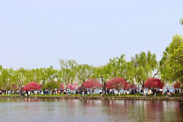 Tour mùa xuân Tây Hồ Hàng Châu