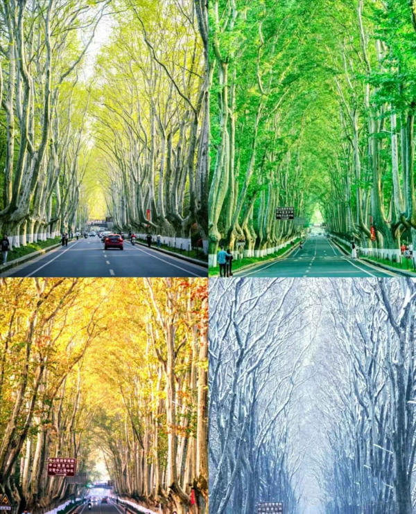 Du lịch Nam Kinh, Trung Quốc Du lịch Nam Kinh, Trung Quốc