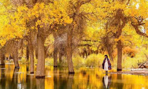 Mùa thu Trung Quốc nên đi đâu
