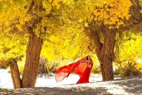 Công viên rừng quốc gia Jinhuyang Tân Cương, Trung Quốc 01 Công viên rừng quốc gia Jinhuyang Tân Cương, Trung Quốc 01