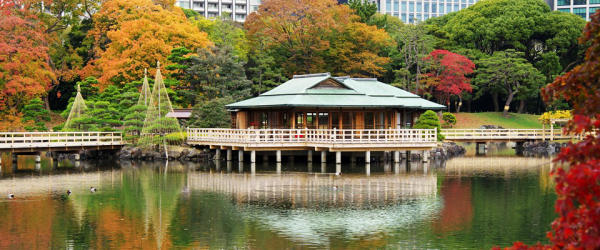 Những điểm ngắm lá tuyệt đẹp mùa lá đỏ Tokyo, Nhật Bản 05