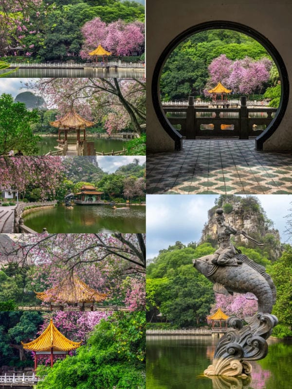 Ngư Phong Sơn Liễu Châu
