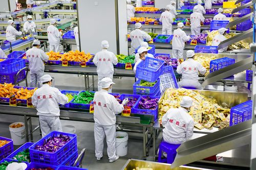 Quy trình sản xuất bún ốc Liễu Châu