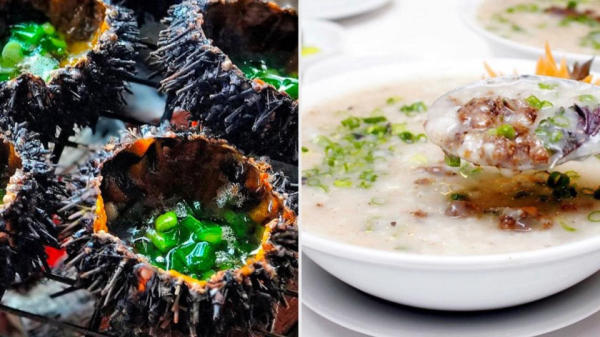 nhum biển Lý Sơn nhum biển Lý Sơn