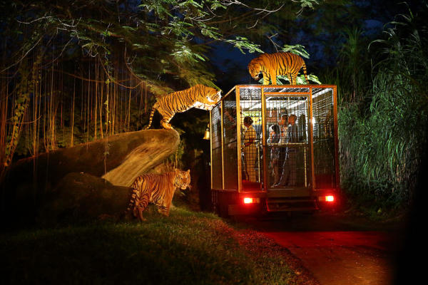 Kinh nghiệm đi Singapore 06 Kinh nghiệm đi Singapore 06