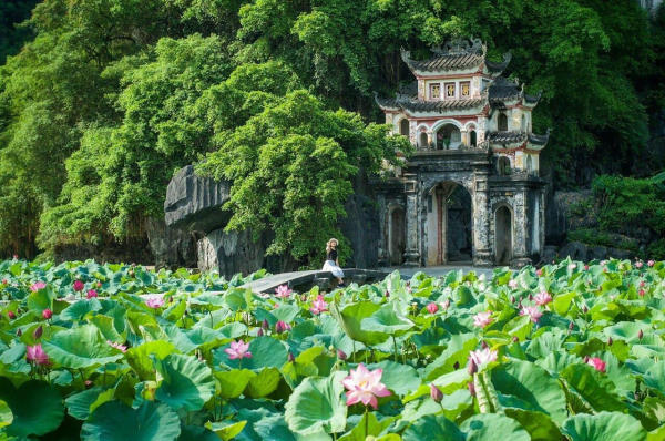 Du lịch Tam Cốc - Bích Động, Ninh Bình mùa sen Du lịch Tam Cốc - Bích Động, Ninh Bình mùa sen