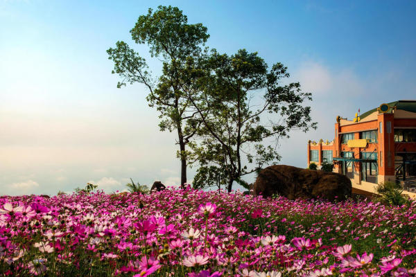 Kinh nghiệm du lịch Tây Ninh 01 Kinh nghiệm du lịch Tây Ninh 01