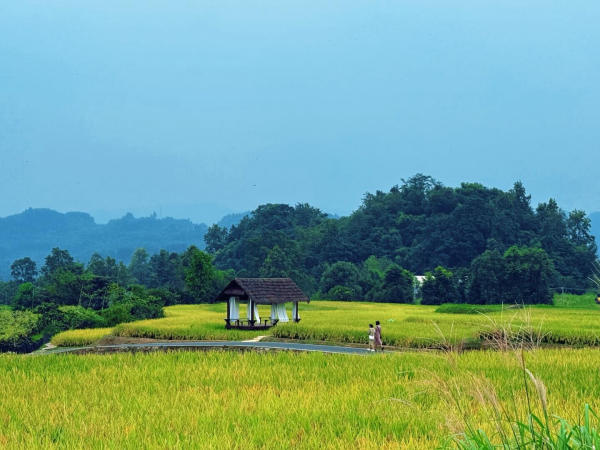 du lịch gần Nga Mi Sơn