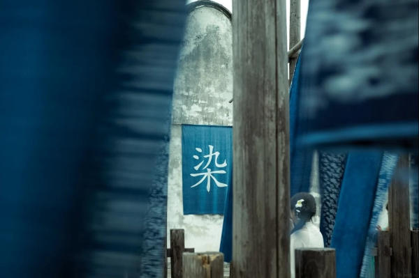 Ô Trấn trong ngày thời điểm nào đẹp