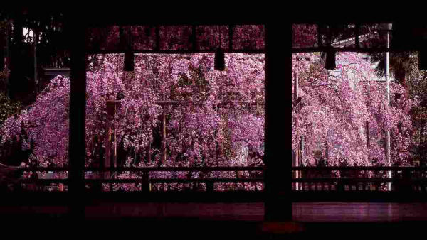 Lễ hội ở Kyoto Nhật Bản 02 Lễ hội ở Kyoto Nhật Bản 02