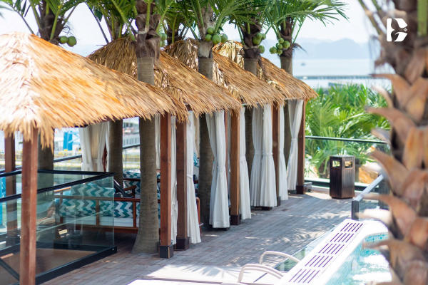Giá vé du thuyền Dolphin Cruise mới nhất