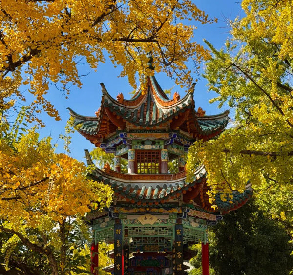 Công viên Thuý Hồ mùa thu