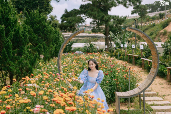 Phoenix Garden Da lAt vuon hoa