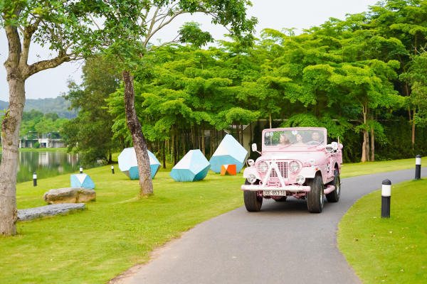 Pinky Jeep Tour, Flamingo Đại Lải Pinky Jeep Tour, Flamingo Đại Lải