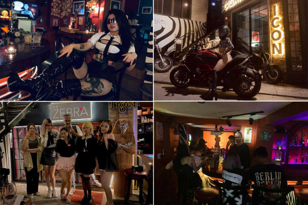 Quán Bar Hạ Long - The Zebra Bar Hạ Long Quán Bar Hạ Long - The Zebra Bar Hạ Long