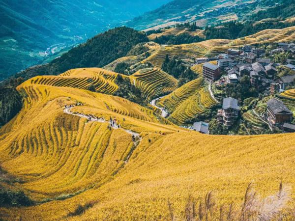 Cảnh đẹp ở Quế Lâm, Trung Quốc Cảnh đẹp ở Quế Lâm, Trung Quốc