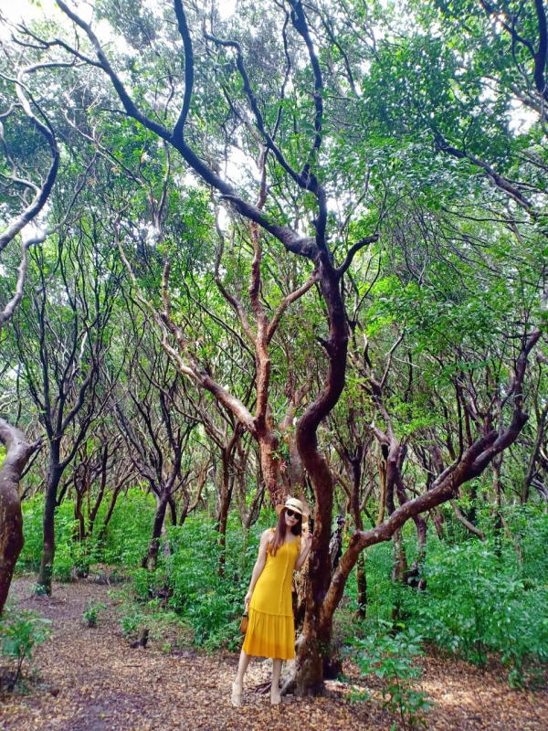 bãi biển Minh Châu Quan Lạn