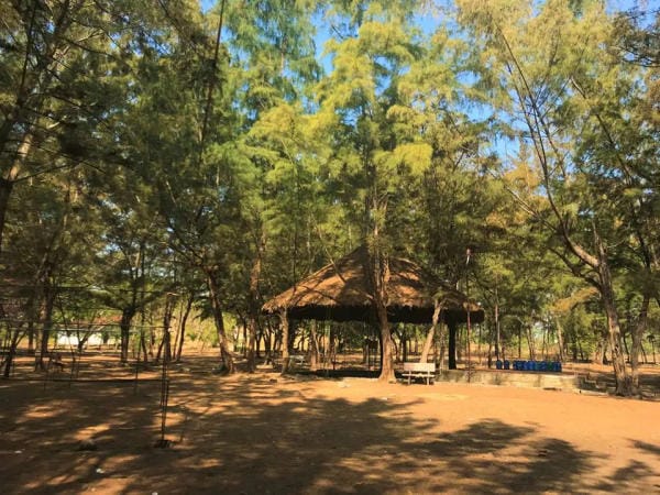 Xu hướng du lịch mới của giới trẻ - Glamping 17