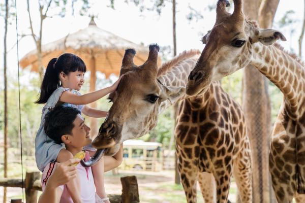 Safari Phú Quốc 01 Safari Phú Quốc 01