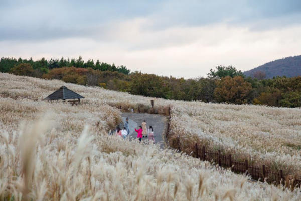 Du lịch Jeju 02 Du lịch Jeju 02