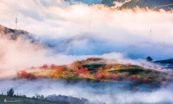 sapa tháng 12 sapa tháng 12