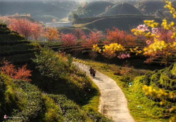 Tour Xuyên Việt Tour Xuyên Việt