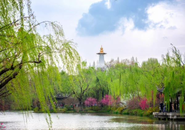 Trường Đê Xuân Liễu - Sấu Tây Hồ Dương Châu