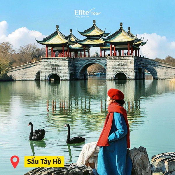 Sấu Tây Hồ