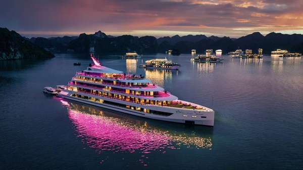 Sea Stars Cruise Ha Long