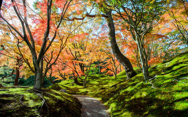 Các điểm du lịch nổi tiếng tại Kyoto 02 Các điểm du lịch nổi tiếng tại Kyoto 02