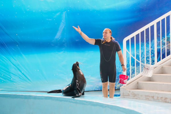 Tuần Châu Hà Nội - Công viên biển 03 Tuần Châu Hà Nội - Công viên biển 03